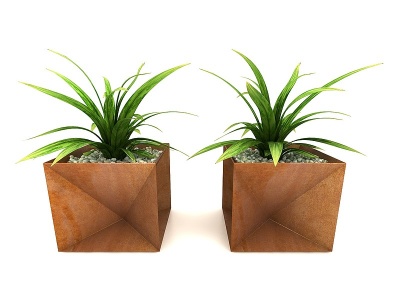 3d植物花盆模型