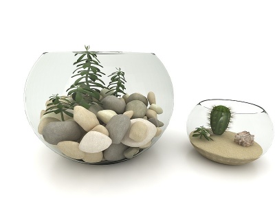 带石头的玻璃鱼缸模型