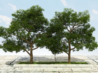 果树植物模型3d模型