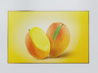 橙色水果装饰画3d模型