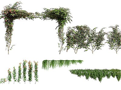 现代縢蔓植物模型3d模型