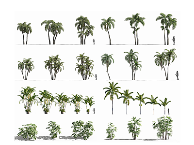 C4D現代熱帶植物樹木模型模型