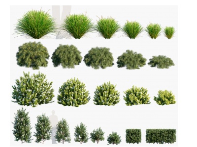 3d现代植物树木花草模型