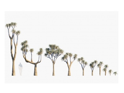 3d现代植物树模型