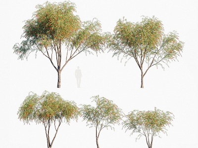 3d现代植物树木串钱柳模型