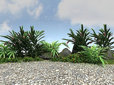 3d景观植物模型