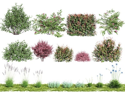 3d现代植物灌木花草模型