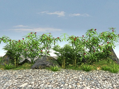 常绿景观植物模型3d模型
