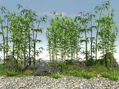 竹子模型3d模型