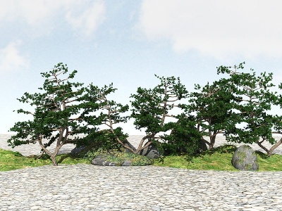3d景观树模型