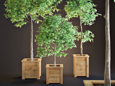 日式木桶植物盆栽模型
