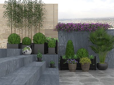3d现代户外植物盆栽模型