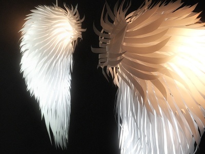 3d现代羽毛吊灯模型