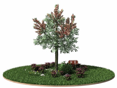 栾树3d模型