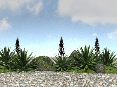 3d<font class='myIsRed'>景观植物</font>模型