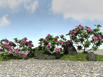 景观植物模型3d模型