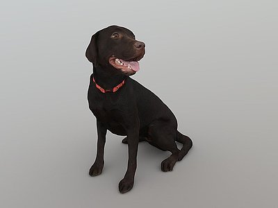 3d黑色宠物狗模型