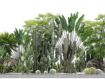 热带植物模型3d模型