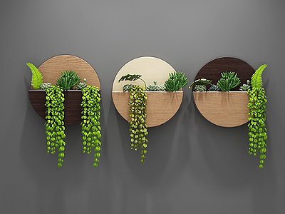 3d北欧现代多肉植物背景墙模型