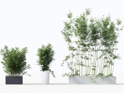 中式竹子绿植盆栽组合模型3d模型