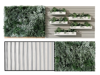 3d现在植物墙模型