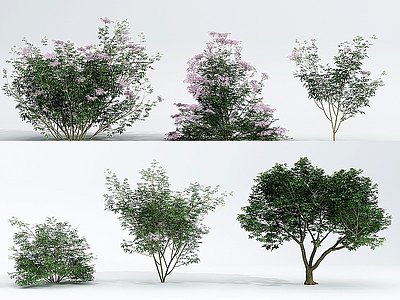 3d现代灌木花树模型