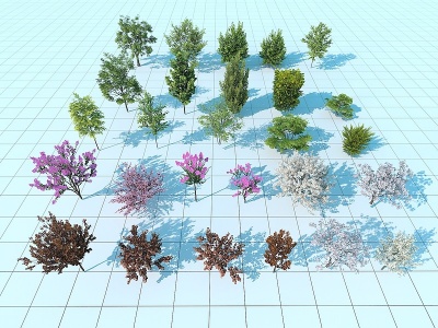 景观树模型