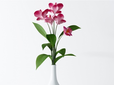 3d现代花瓶,模型