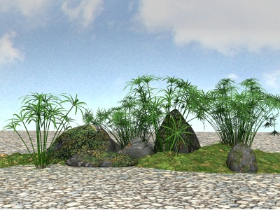 3d景观植物水竹模型
