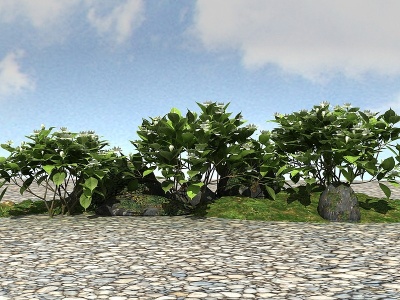 3d景观植物栀子花模型