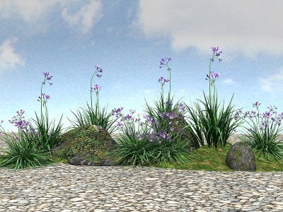 3d景观植物模型紫娇花模型