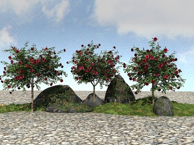 3d景观植物月季模型