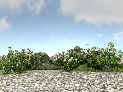 3d景观植物野牡丹模型