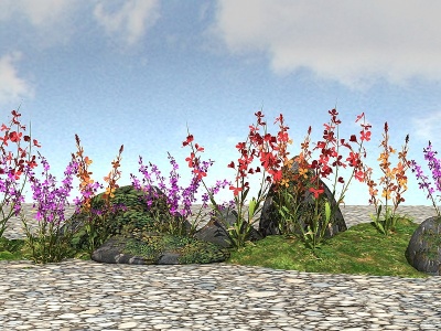 3d景观植物山桃草模型