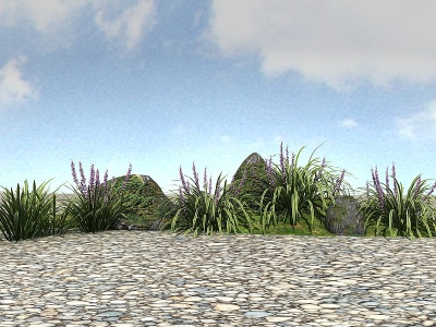 3d景观植物麦冬模型