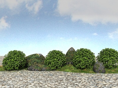 3d景观植物模型花叶青木模型