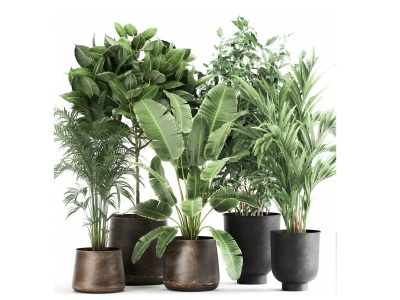 现代植物盆栽模型3d模型
