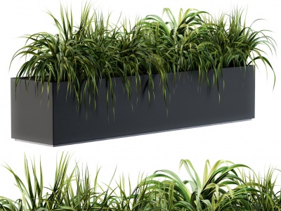 3d现代植物池模型