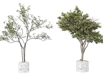 3d现代盆栽组合模型