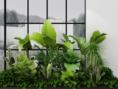3d现代植物热带植物组合模型