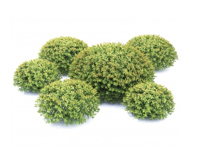 现代球形灌木模型3d模型