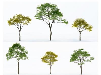 3d户外树木模型