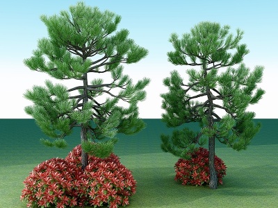 3d现代松树户外树模型