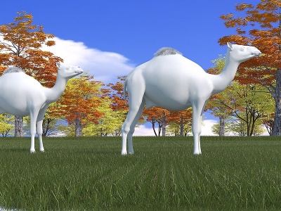 3d现代艺术雕塑小品骆驼模型