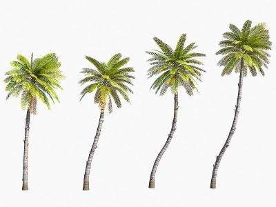現代棕櫚樹3d模型