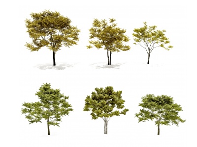 3d现代<font class='myIsRed'>秋季</font>景观树模型