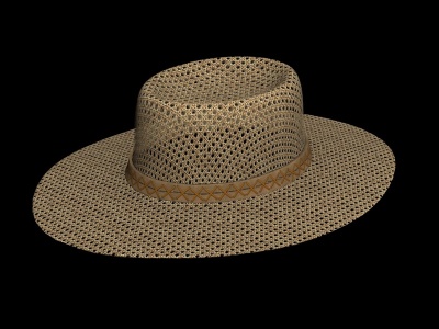 草帽模型3d模型