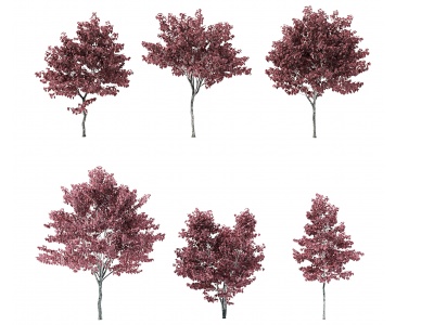 现代树3d模型