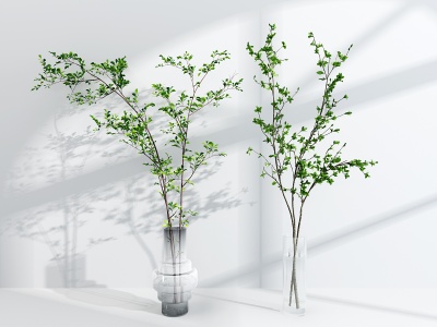 3d水生植物玻璃花瓶模型