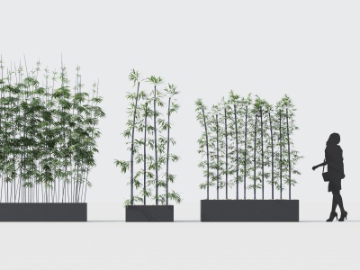 3d现代竹子植物花卉模型